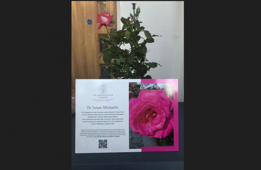 The rose named after Dr Michaelis